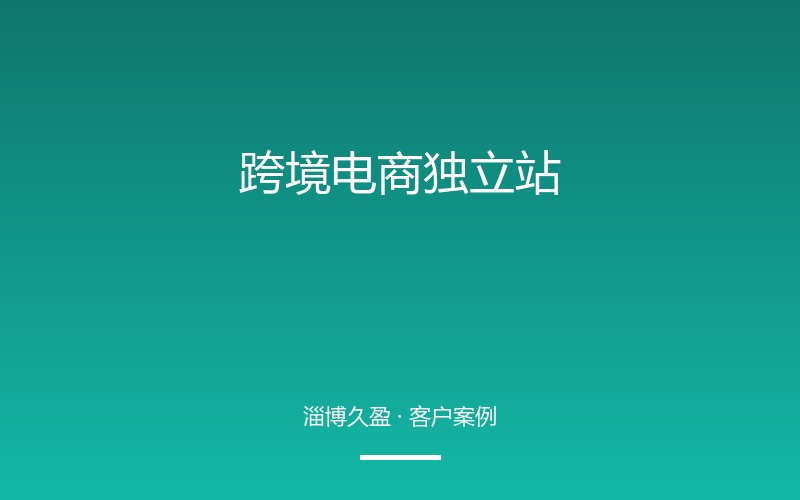 跨境电商独立站